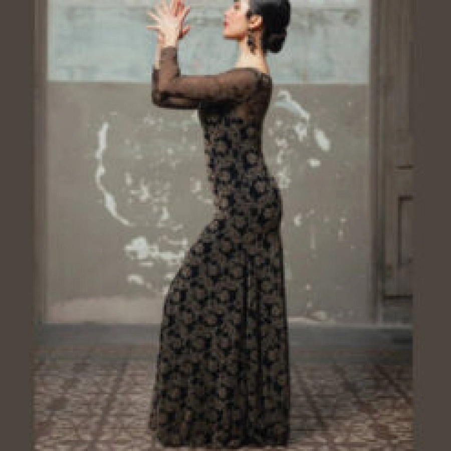 Vestido Rococo